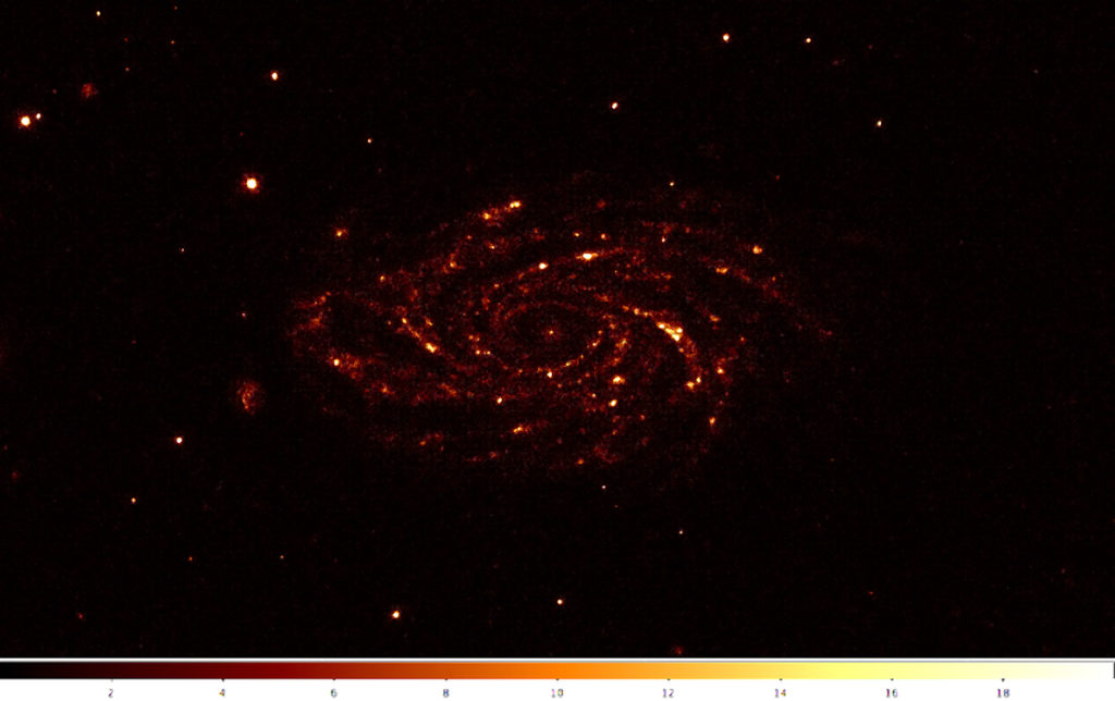 A near-ultraviolet image of galaxy NGC 2336 captured by the UVIT instrument on board India's AstroSat observatory. Located 105 million light-years away from Earth, the galaxy's spiral arms contain several nebulae: hot star-forming regions that shine brightly in this wavelength